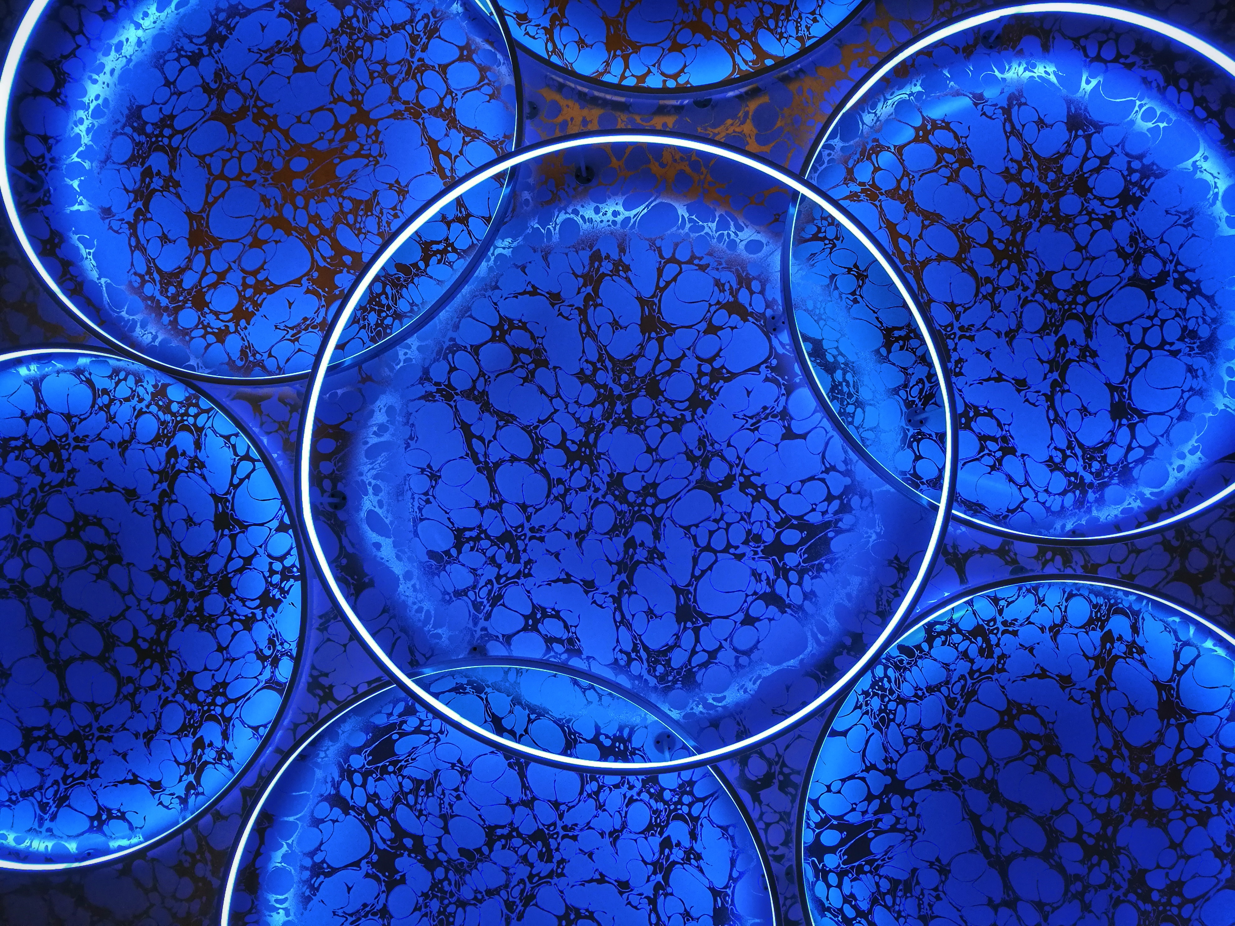 Fonds globules bleu